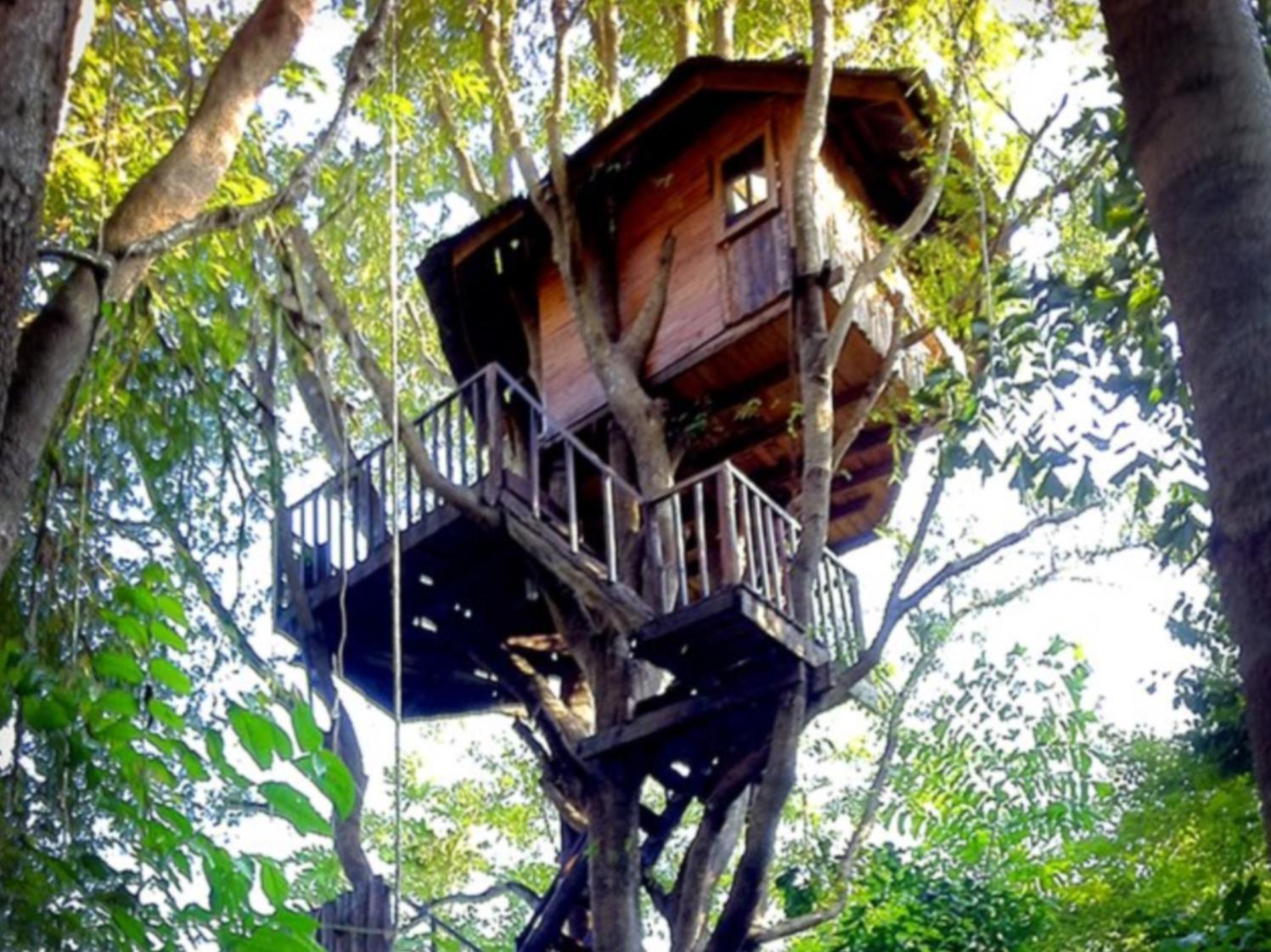 Rabeang Pasak Tree House Resort Chiang Mai Exterior photo